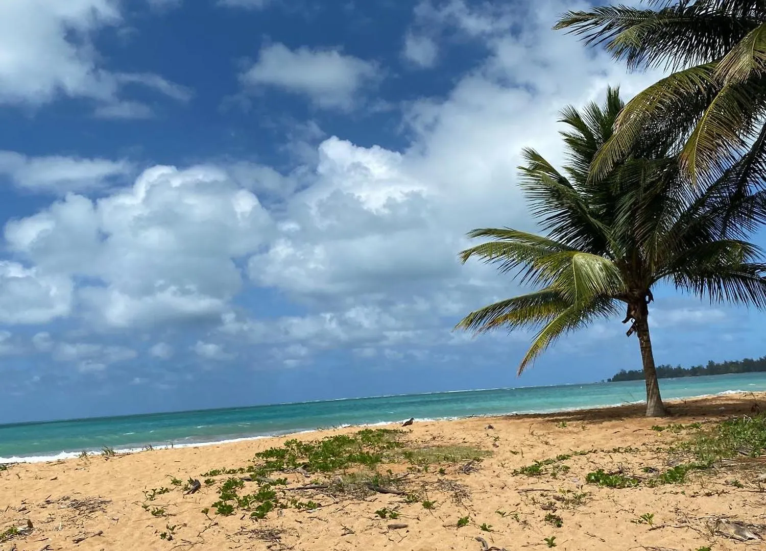Apartment Sleek 3-Bdr Oasis Villa Iris Luquillo